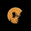 nazek_